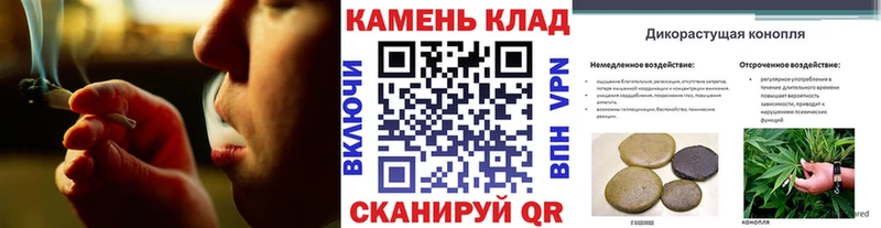 ГАШ Ice-O-Lator Волгореченск