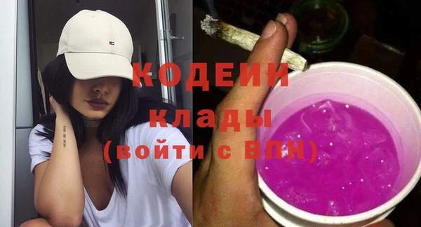 молекула духа Бородино
