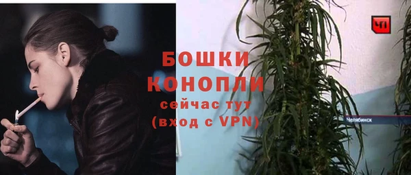 PSILOCYBIN Бугульма