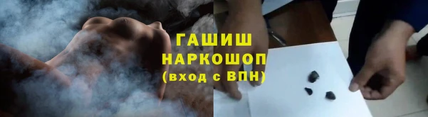 молекула духа Бородино