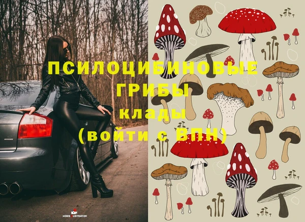 молекула духа Бородино