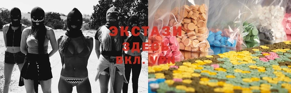 молекула духа Бородино